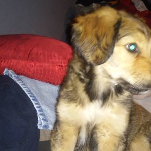 Meet your Posher, Sixto javier